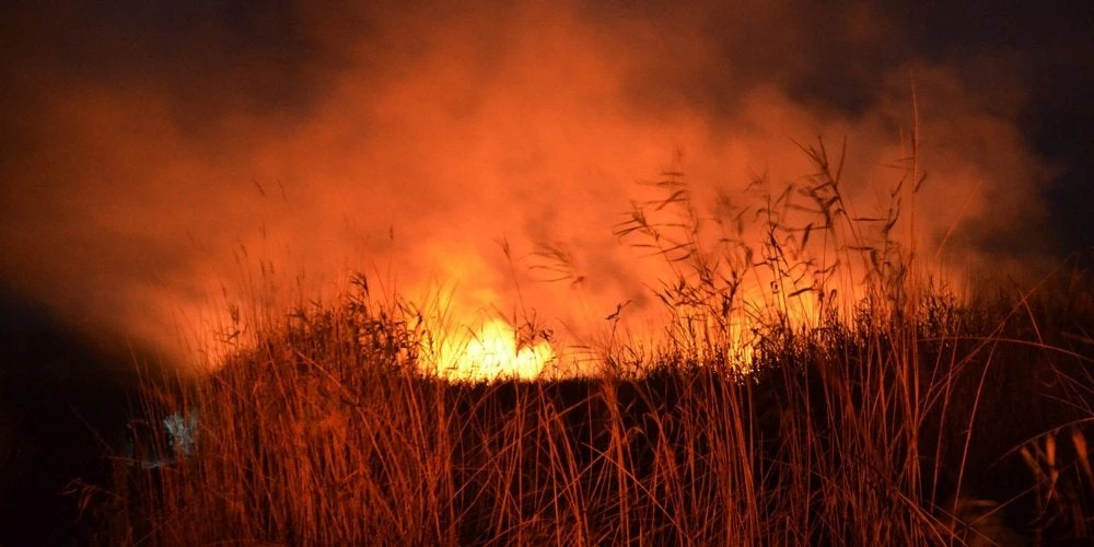 Μεγάλη πυρκαγιά στην περιοχή Καπελέτο της Ηλείας